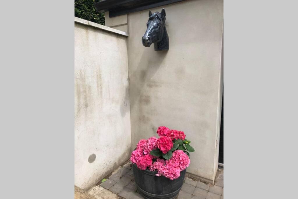 Rhubarb Cottage Enniskillen Luaran gambar
